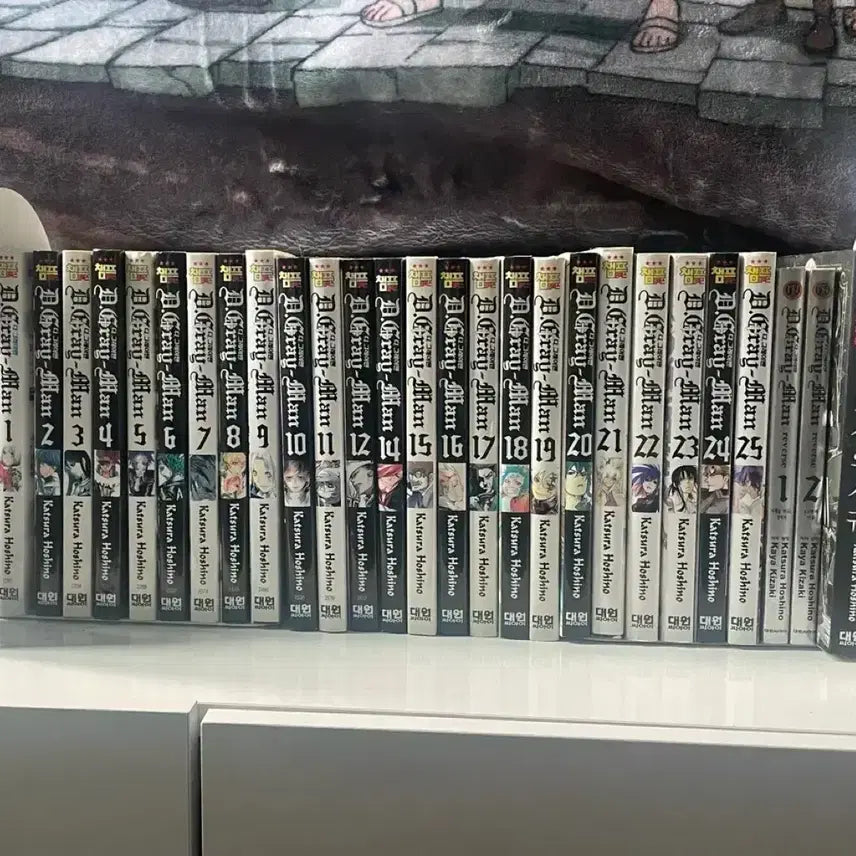 [BUNJANG] D.Gray-man Complete Set (13 Volumes) + Novels (2 Volumes) + Fanbook (1 Volume) / 디그레이맨 전권(13X)+소설 2권 팬북 1권 일괄 판매