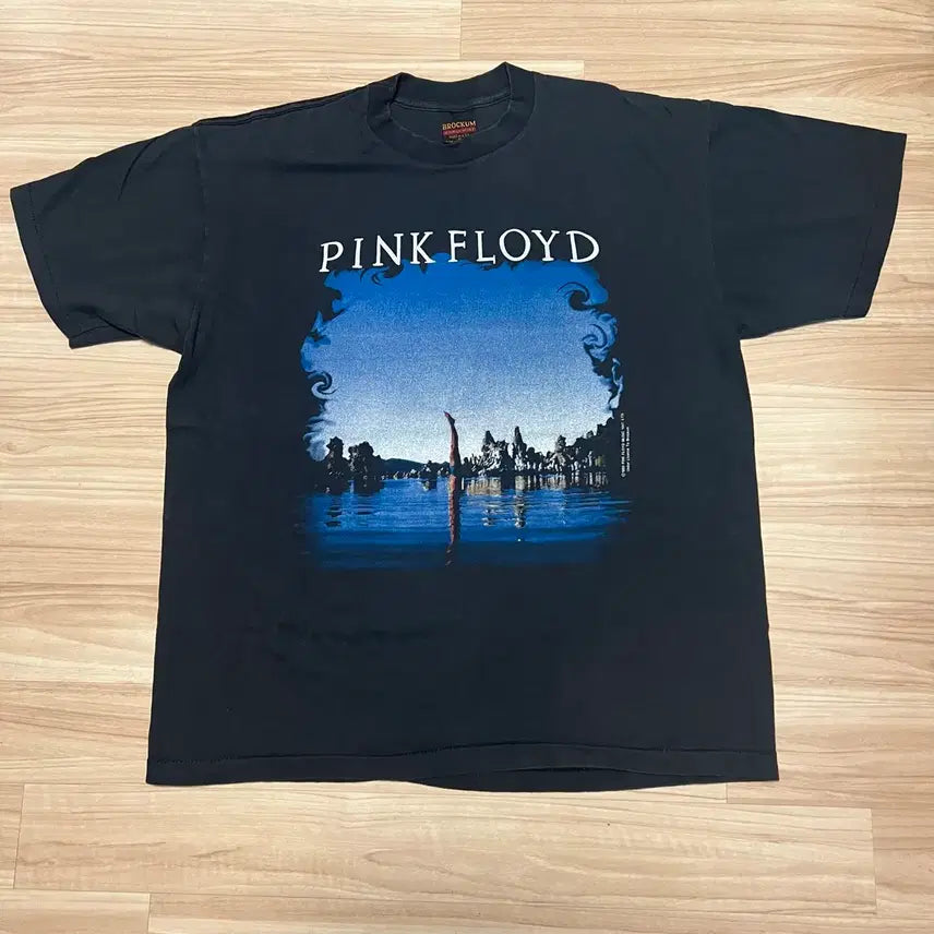 [BUNJANG] Pink Floyd Wish You Were Here T-Shirt XL / 핑크플로이드 Wish You Were Here 티셔츠 XL사이즈