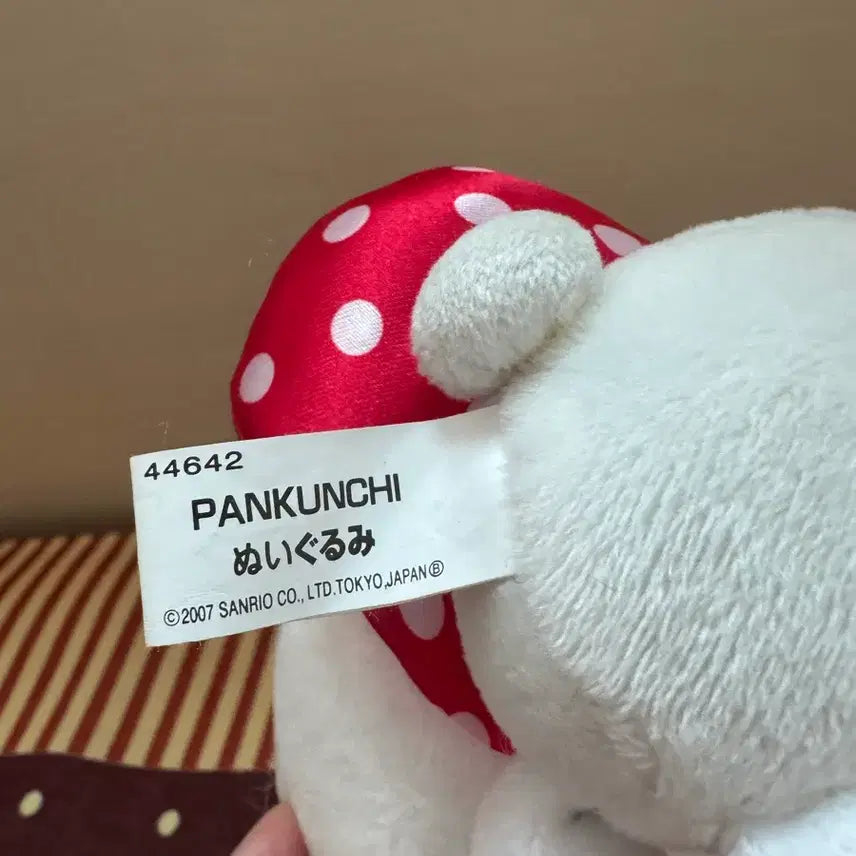 [BUNJANG] Pankunchi / 판쿤치
