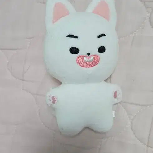[BUNJANG] Block B P.O Pyo Ji-hoon Pyomoyed Doll / 마지막가격내림)블락비 피오 표지훈 표모예드 인형