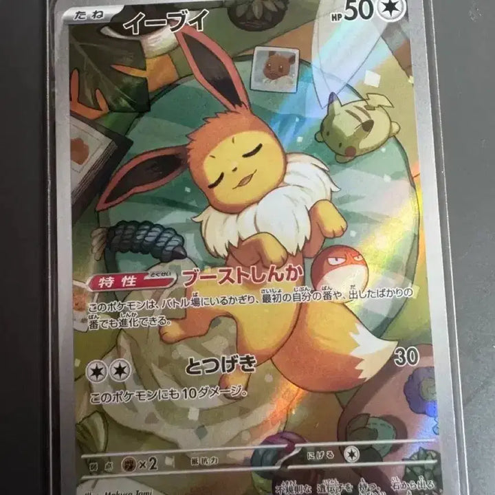 [BUNJANG] Pokemon Card Eevee AR Japanese Edition 100 Deck / 포켓몬 카드 100덱 이브이 AR 일판