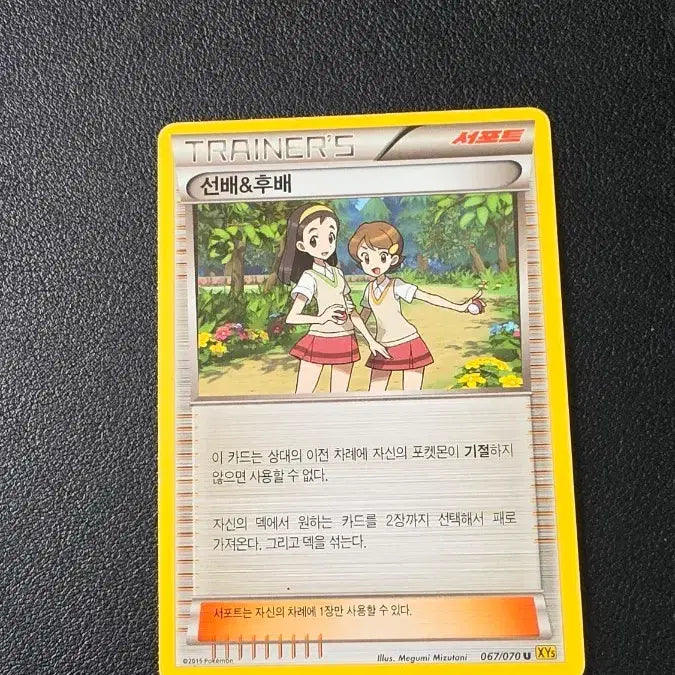 [BUNJANG] Pokemon Card Senpai &amp; Kouhai XY5 067 / 포켓몬 카드 선배&amp;후배 XY5 067