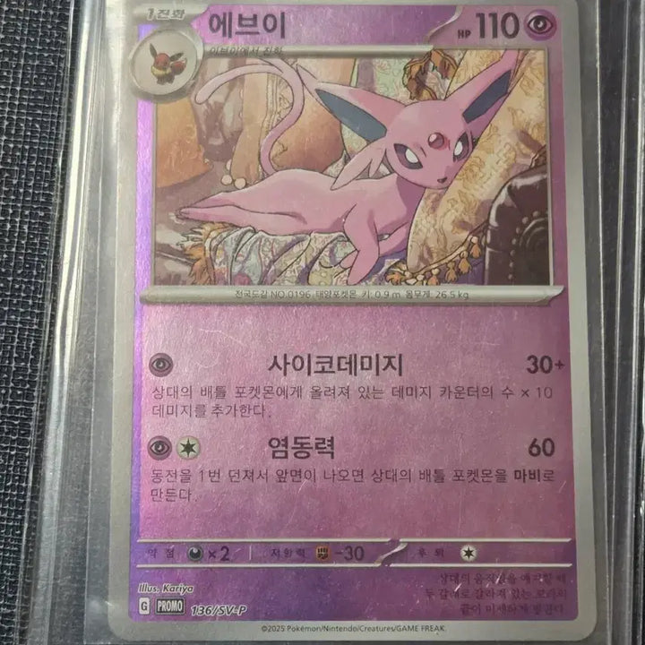 [BUNJANG] Pokemon Card Eevee 136/SV-P Promo Rare Card / 포켓몬 카드 에브이 136/SV-P 레어 카드 프로모