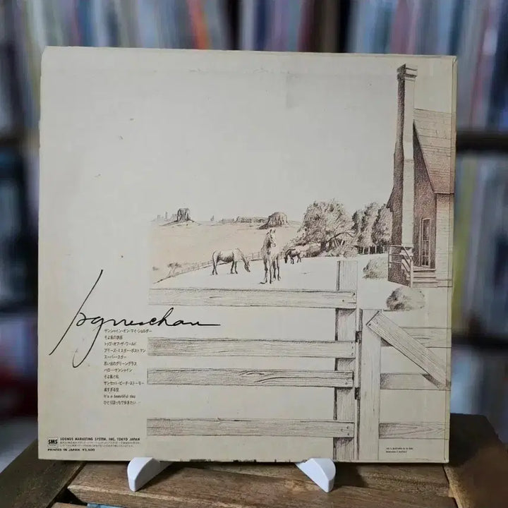 [BUNJANG] Agnes Chan Country Road LP (1980s J-Pop/Folk) / (홍콩 싱어, 아그네스 찬, 팝 히트곡 커버) Agnes Chan LP