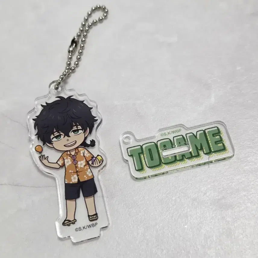 [BUNJANG] Windre Togame Jyo Acrylic Charm / 윈브레 토가메 죠 아크릴