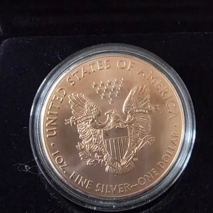 [BUNJANG] 2019 American Eagle 1 oz 99.9% Silver Colorized Coin / 2019 아메리칸 이글 컬러 색채 1온스 99.9% 실버