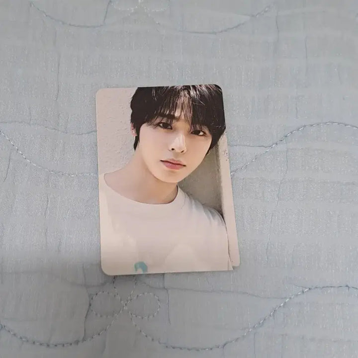 [BUNJANG] NCT WISH Riku Photocard / (주말할인)엔시티위시 리쿠 포카