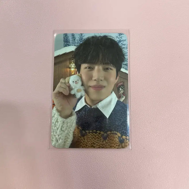 [BUNJANG] DAY6 24&