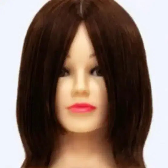 [BUNJANG] Proa Venus Morris Practice Wigs / 프로아 비너스 모리스 가발판매
