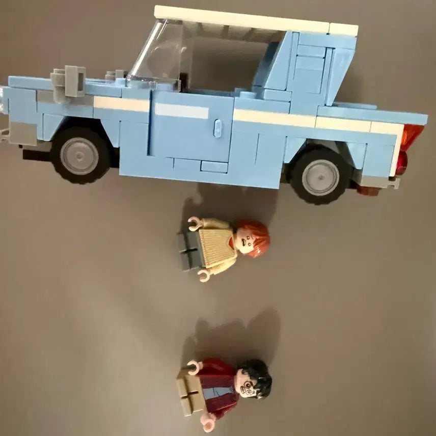 [BUNJANG] LEGO Harry Potter 76424 Building Set / 레고 해리포터 76424