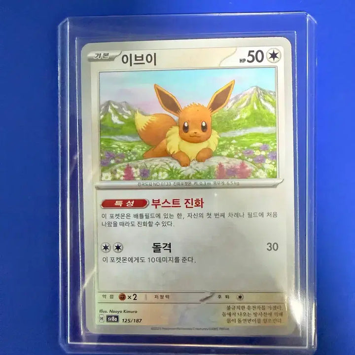 [BUNJANG] Pokemon Eevee Card / 포켓몬카드 이브이 카드