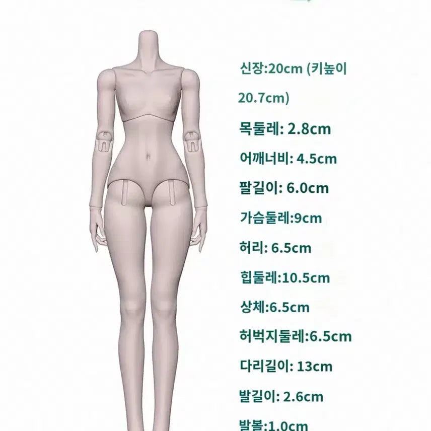 [SOLD OUT] 20cm 구체관절인형 BJD 바디