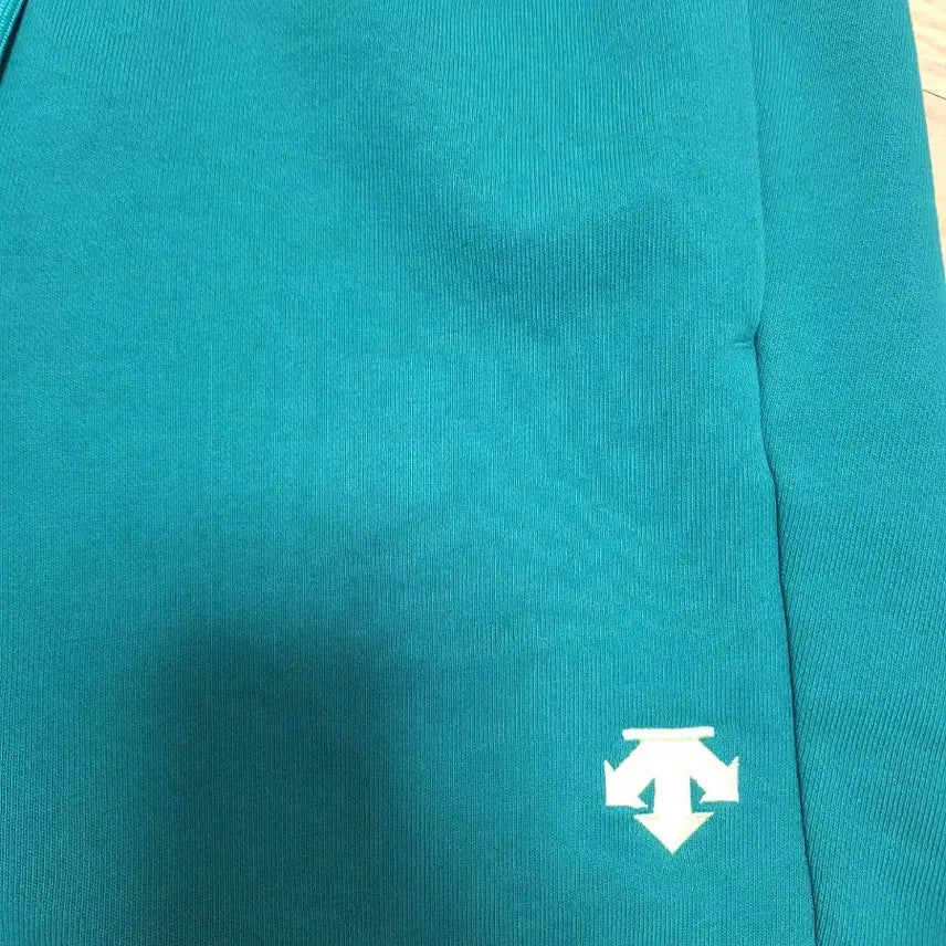 [BUNJANG] Descente GRN0 4-Inch Shorts / 데상트 GRN0 숏츠 4부 반바지 새상품 팝니다