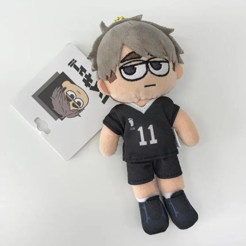 [BUNJANG] Haikyuu Miya Osamu Jirori Plush Doll / 하이큐 미야 오사무 지로리 누이 인형