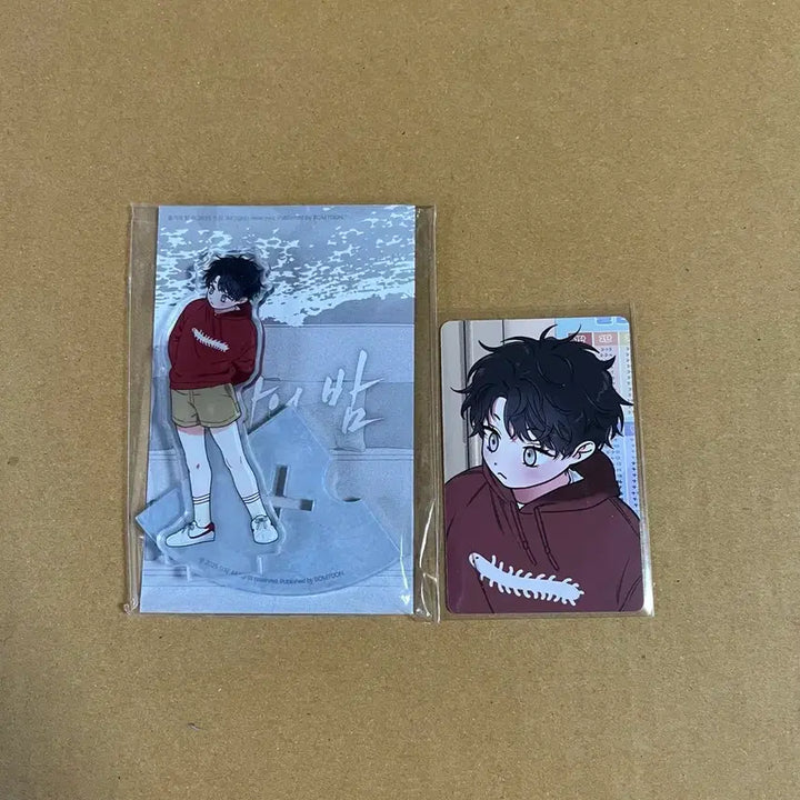 [BUNJANG] Jaimishop Mulgaeui Bam Euyoung Acrylic Standee / 재이미샵 물가의밤 의영 아크릴