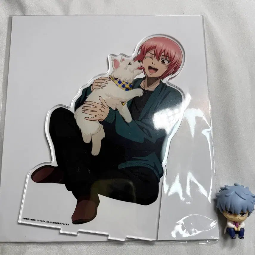 [BUNJANG] Diamond Ace Daiya Big Acrylic Stand Haruichi / 미개봉) 다이아몬드 에이스 다이에이 빅 아크릴 스탠드 하루이치 하룻치