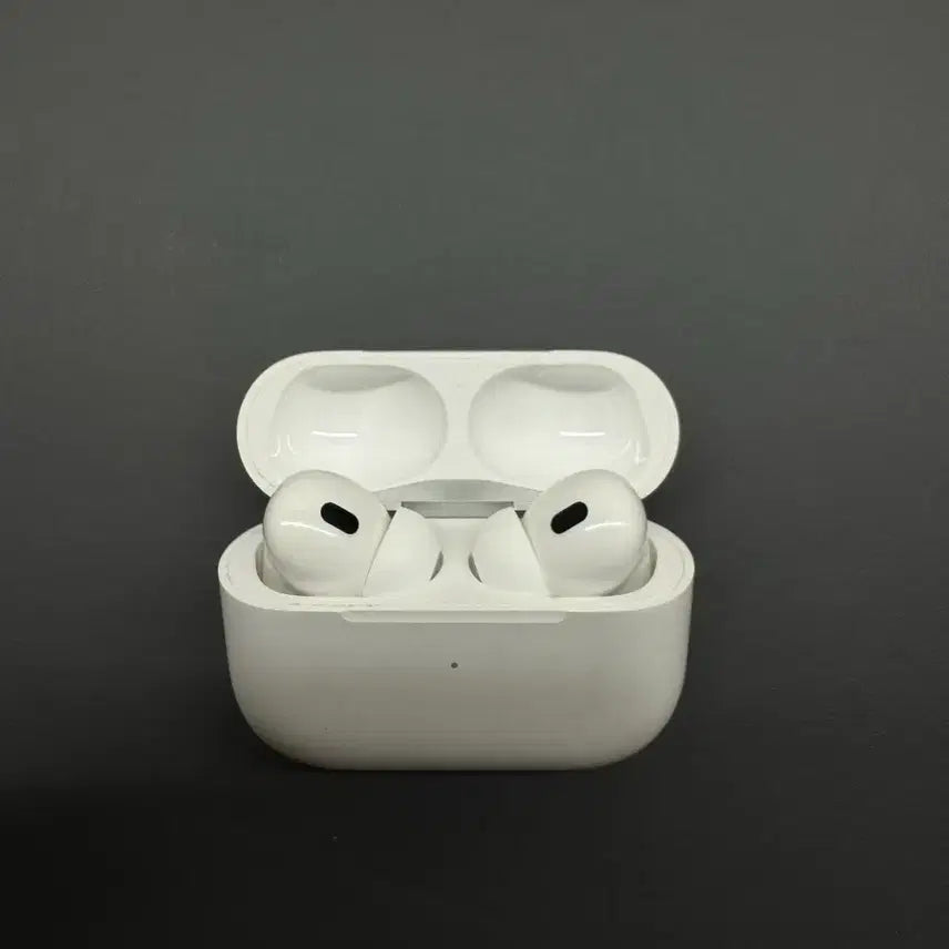[SOLD OUT] 애어팟 프로2세대 C타입