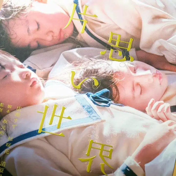 [BUNJANG] Jjak Sarang World Art Graphy Poster / 짝사랑 세계 아트그라피 포스터 판매