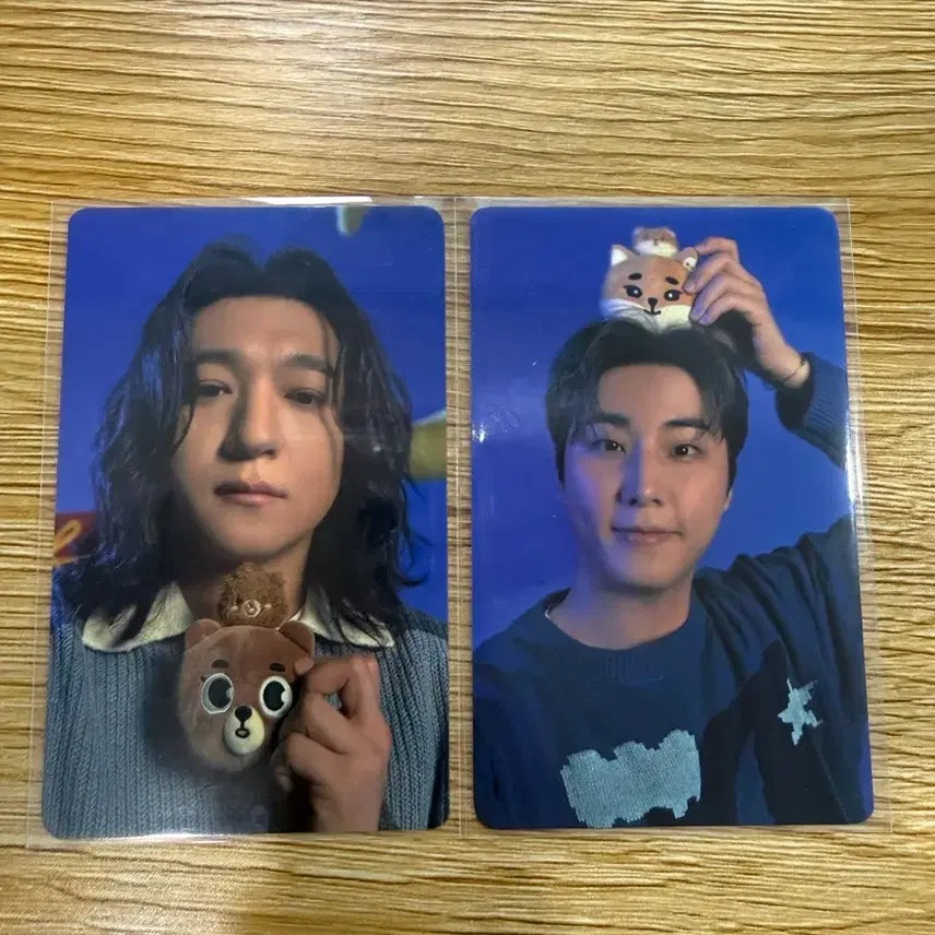 [BUNJANG] Day6 Photocard Bundle Set / 2025 클콘 데이식스 5만 포카