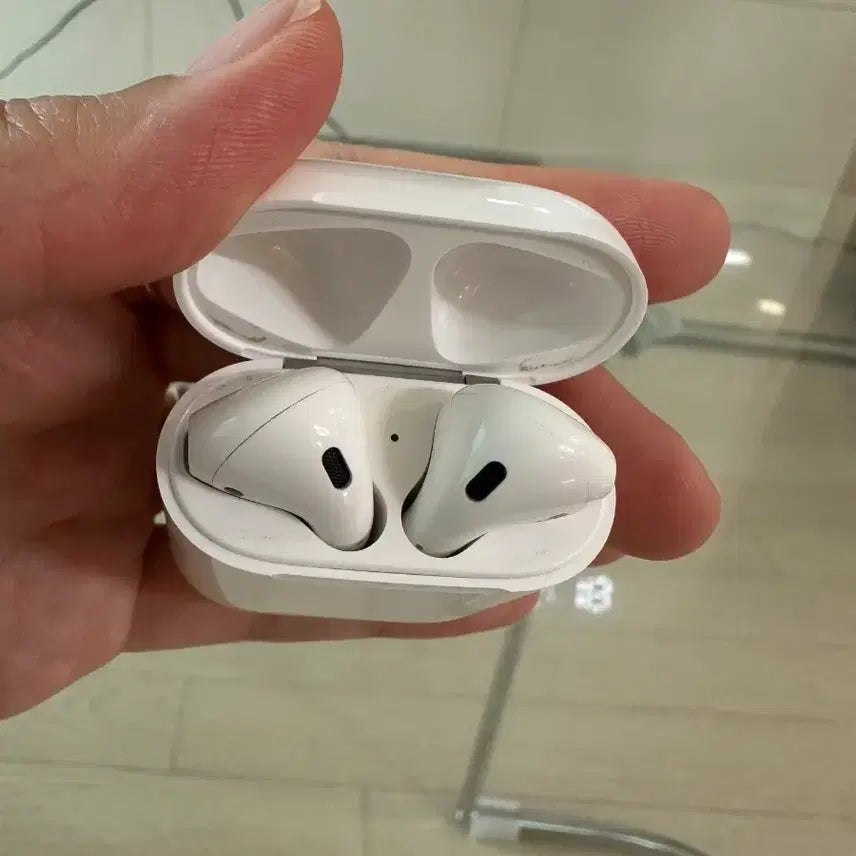 [BUNJANG] AirPods / 에어팟