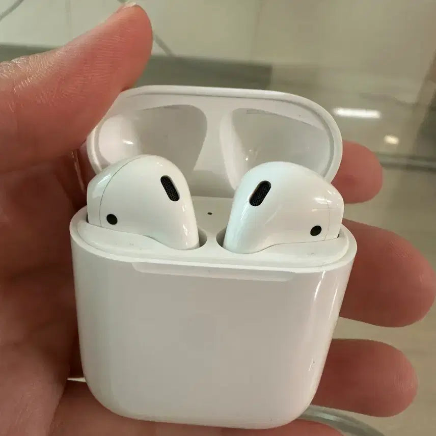 [BUNJANG] AirPods / 에어팟