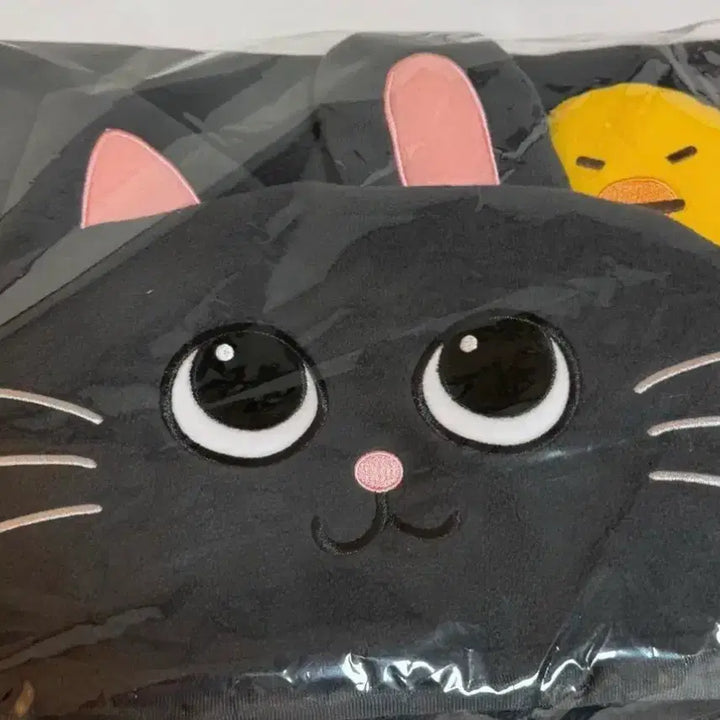 [BUNJANG] RIIZE Wonbin Blanket MD / 급처 라이즈 앙콘 원빈 담요 토냥덕 담요 블랭킷 MD