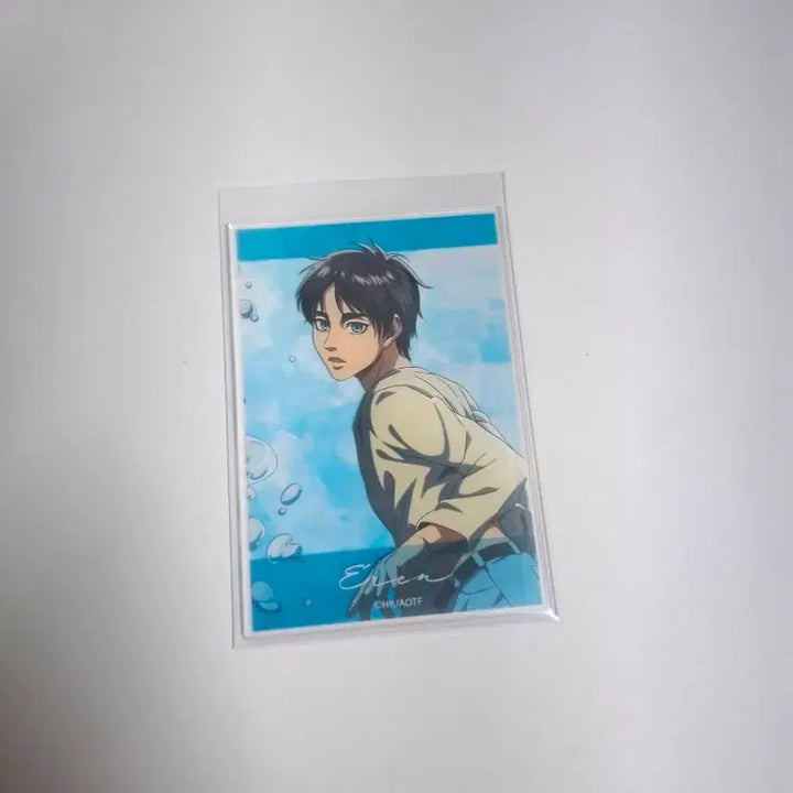 [BUNJANG] Attack on Titan Eren Acrylic Card / 진격의 거인 에렌 아크릴 카드