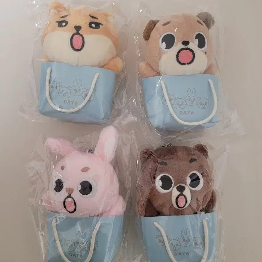 [SOLD OUT] 데이식스 일본 엠디 백참 일괄