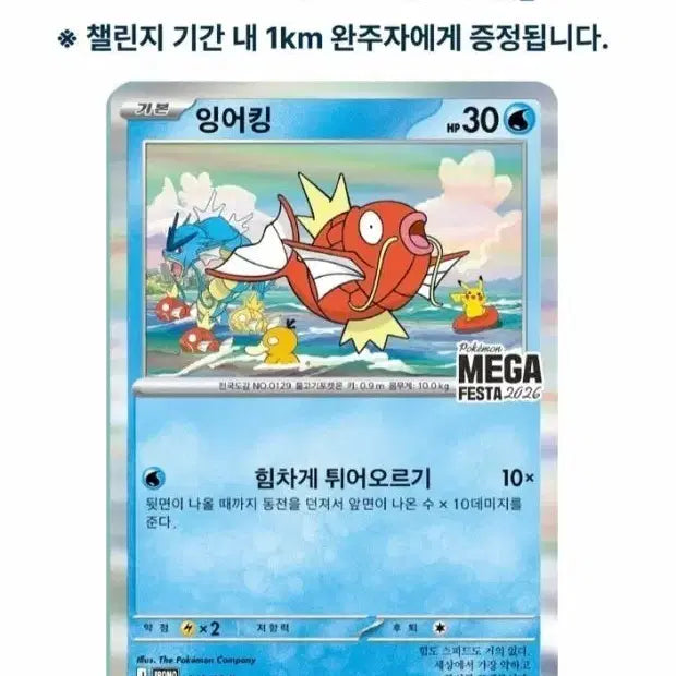 [BUNJANG] Magikarp Promo Card / 잉어킹 프로모