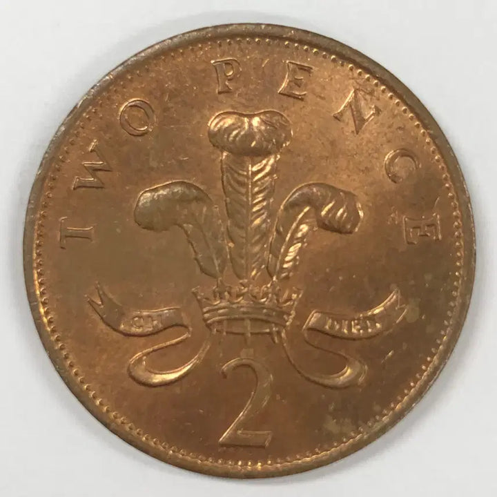 [BUNJANG] 1989 United Kingdom 2 Pence Coin / 1989년 영국 2펜스 동전 S4140