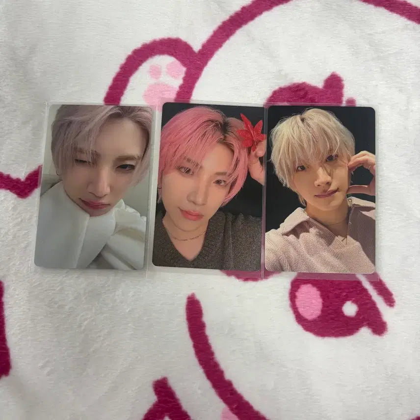 [BUNJANG] ENHYPEN Yuma Jyugoya Album Photocard / 앤팀 유마 쥬고야 앨범 포카 양도 판매