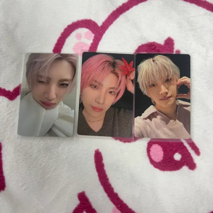 [BUNJANG] ENHYPEN Yuma Jyugoya Album Photocard / 앤팀 유마 쥬고야 앨범 포카 양도 판매