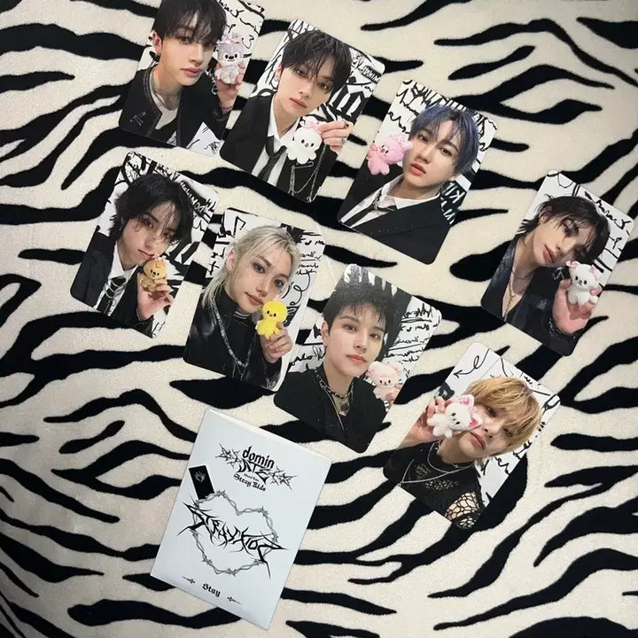 [BUNJANG] Stray Kids Concert Photocard Bundle Set / 스키즈 콘서트 포카 (일괄)