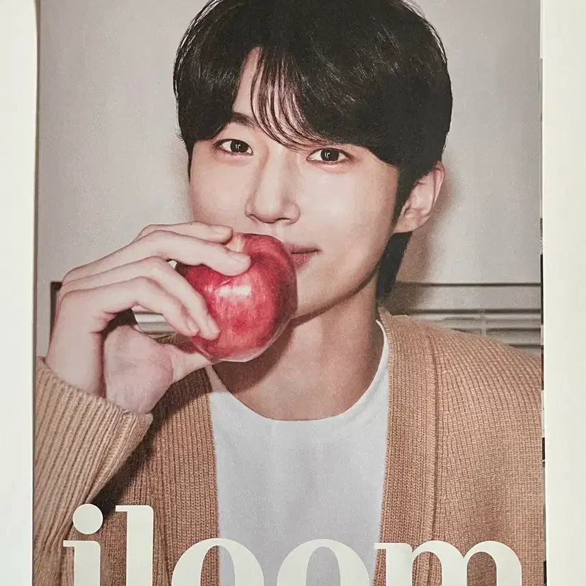 [BUNJANG] Byun Woo Seok Photocard / 일룸 변우석굿즈