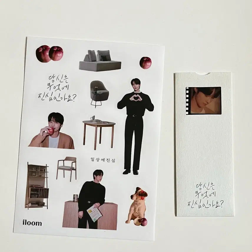 [BUNJANG] Byun Woo Seok Photocard / 일룸 변우석굿즈