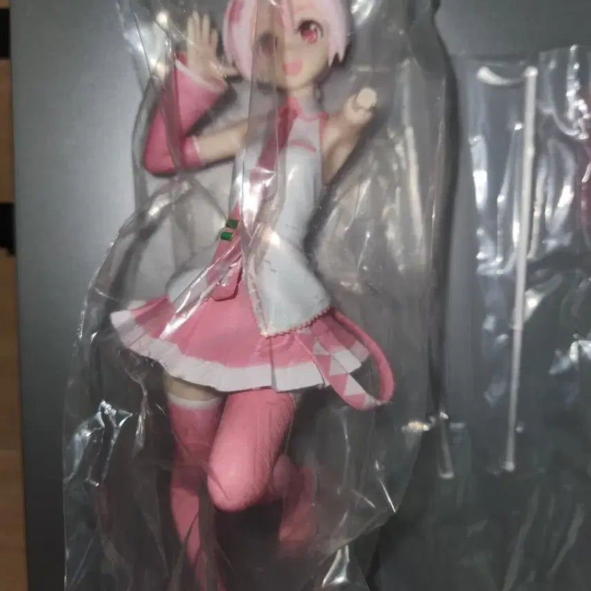 [BUNJANG] Sakura Miku Premium Figure / 사쿠라 미쿠 프디바 피규어