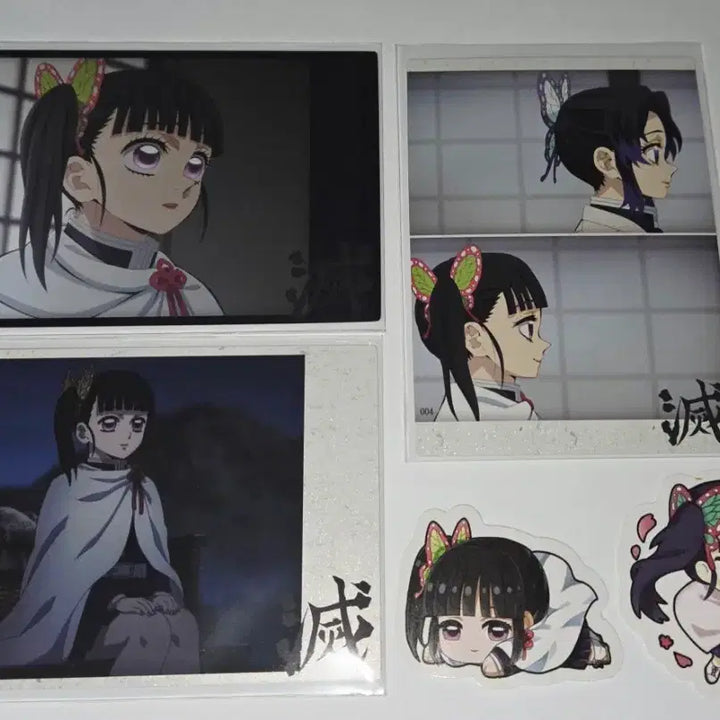 [BUNJANG] Demon Slayer Kanao Highlight Pic Set / 귀칼 하이라이트픽<카나오>세트