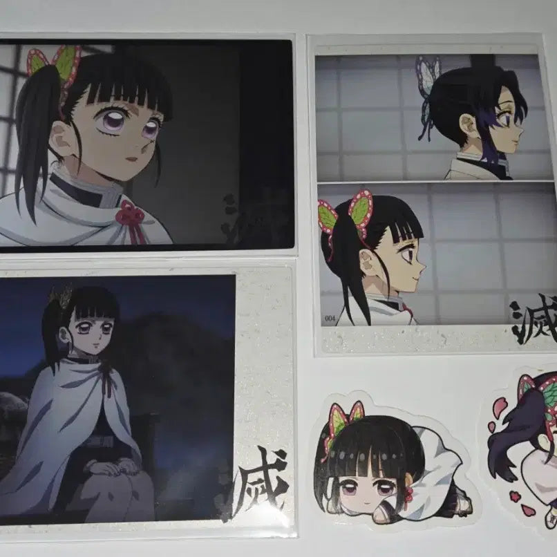 [BUNJANG] Demon Slayer Kanao Highlight Pic Set / 귀칼 하이라이트픽<카나오>세트