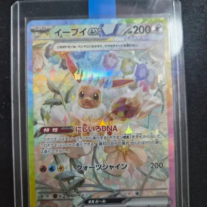 [BUNJANG] Terrastal Eevee SAR Trading Card / 테라스탈 이브이sar 일판팝니다