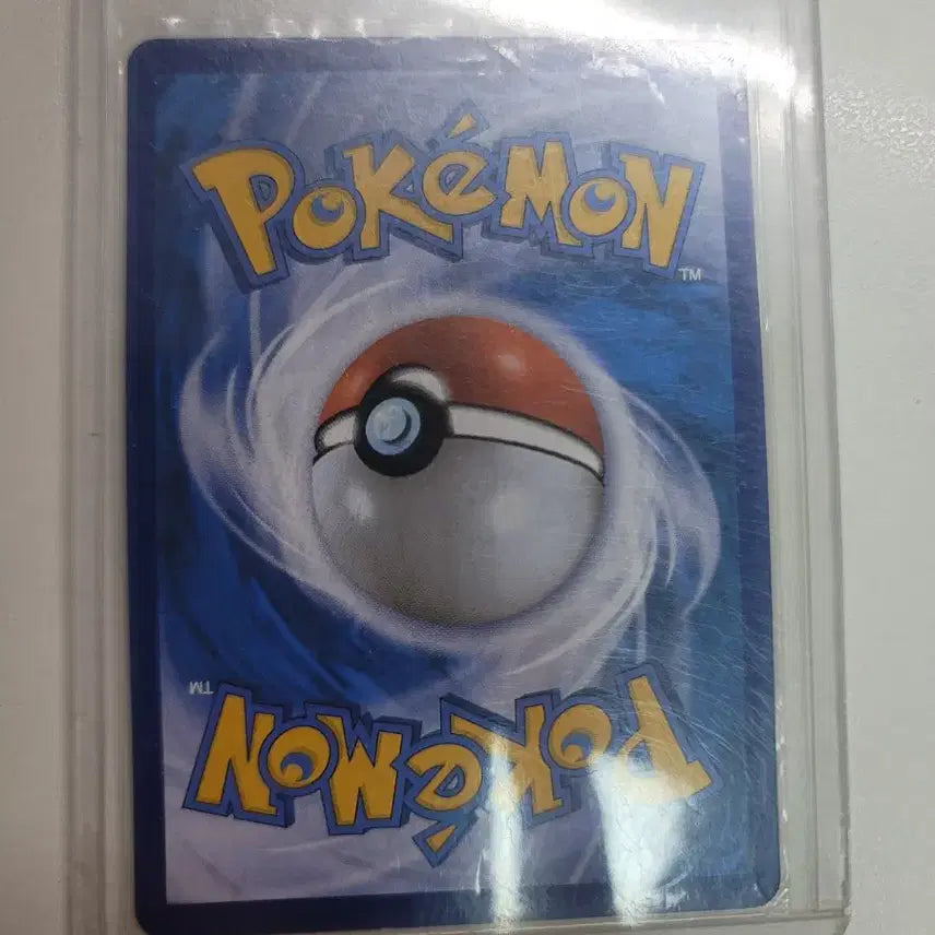 [BUNJANG] Pokemon Card Rayquaza V Special Illustration Rare Card / 포켓몬카드 레쿠쟈V 특일