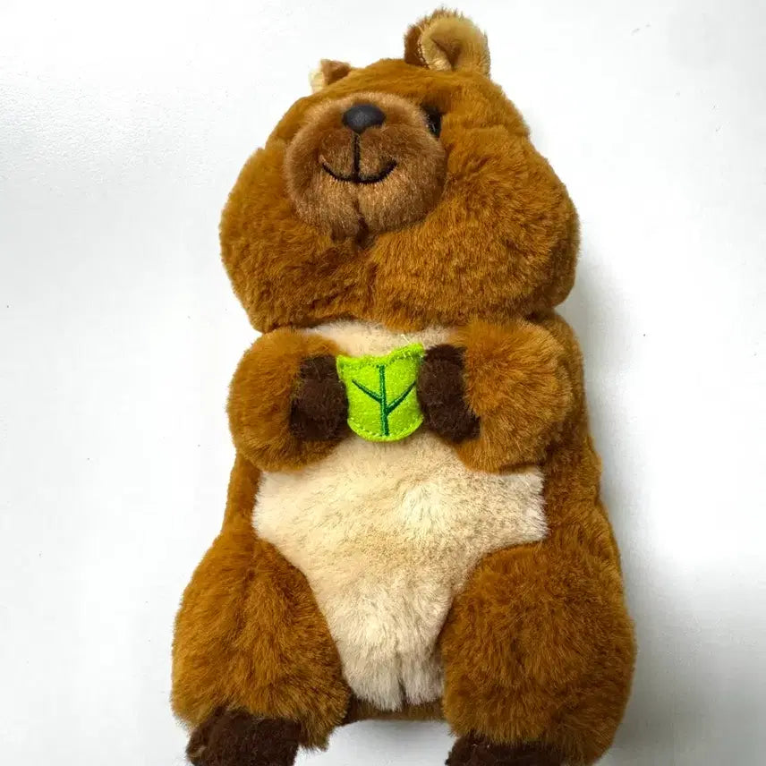 [BUNJANG] Everland Quokka Plush / 에버랜드 쿼카 인형