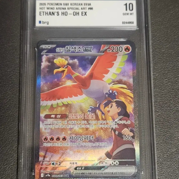 [BUNJANG] Pokemon Card Teal Feather Moltres SAR BRG10 / 포켓몬카드 심향의 칠색조 sar brg10