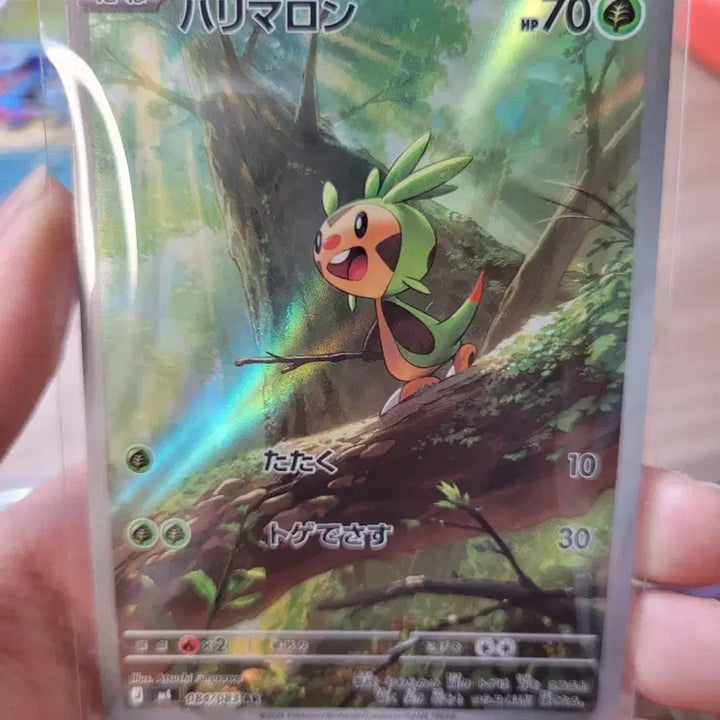 [BUNJANG] Mukuhsar, Togechamaroar, Mega Chandeluresr Japanese Trading Cards / 일판무쿠sar, 도치마론ar, 메가 샹델라sr 팔아요