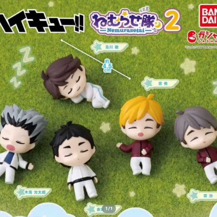 [BUNJANG] Haikyu!! Oikawa Nemurasetei Figure / 오이카와 네무라세타이 하이큐