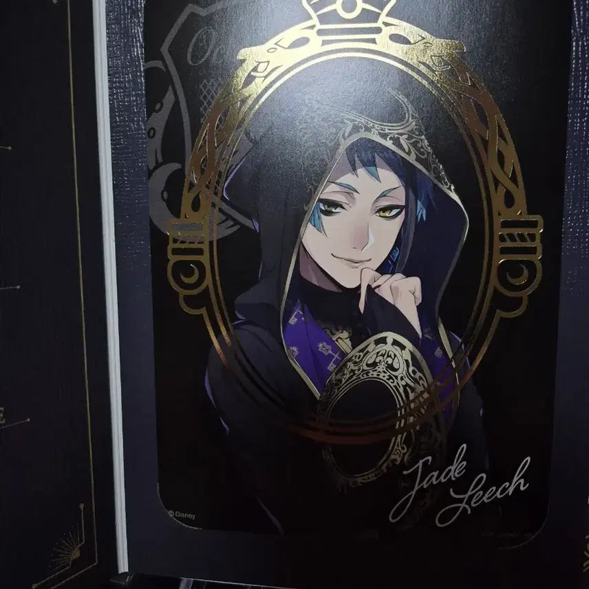 [BUNJANG] Twisted Wonderland Jade Leech Portrait / 트위스테 제이드 리치 포트레이트