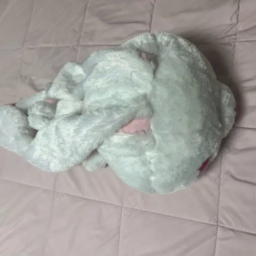 [BUNJANG] Gloomy Bear Universal Rabbit Plush Toy / [오늘만] 범용토끼 인형 글루미베어 희귀매물