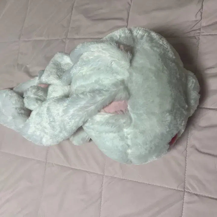 [BUNJANG] Gloomy Bear Universal Rabbit Plush Toy / [오늘만] 범용토끼 인형 글루미베어 희귀매물
