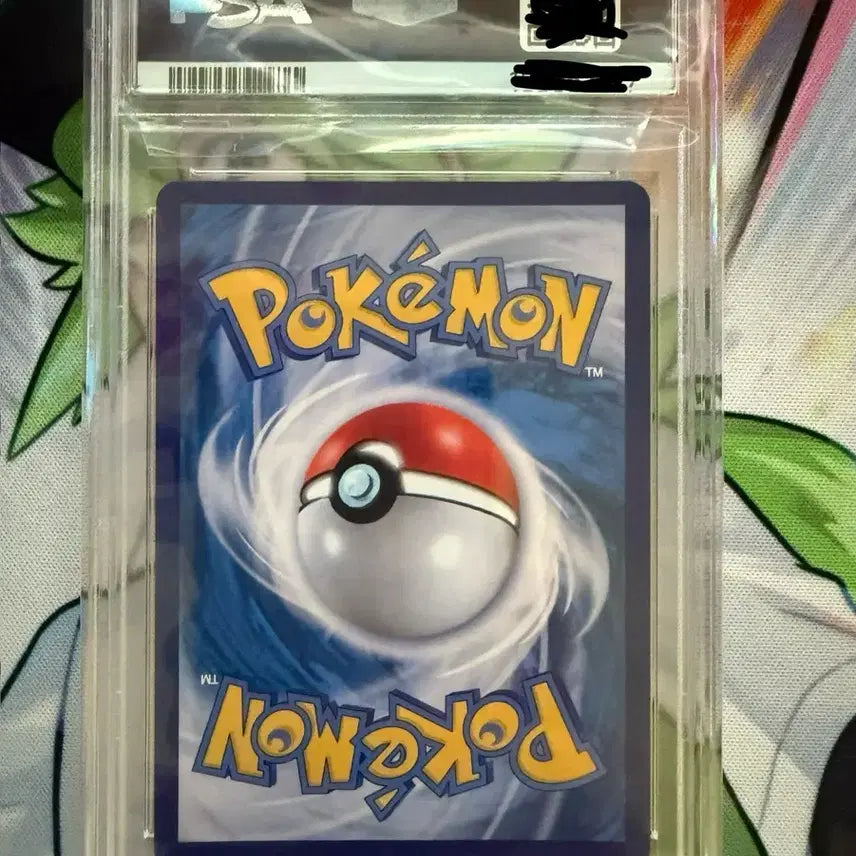 [BUNJANG] Pokemon Card Eevee V Special Illustration PSA 10 Graded / 포켓몬카드 에브이V 특일 PSA10 한판