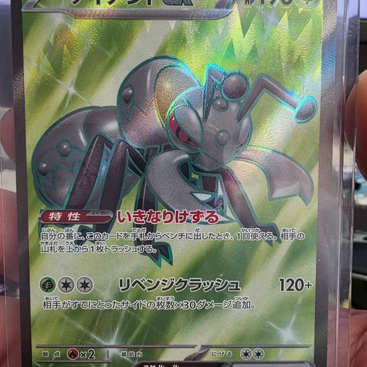 [SOLD OUT] 아이언트 EX 119/106 SR 포켓몬카드.일판
