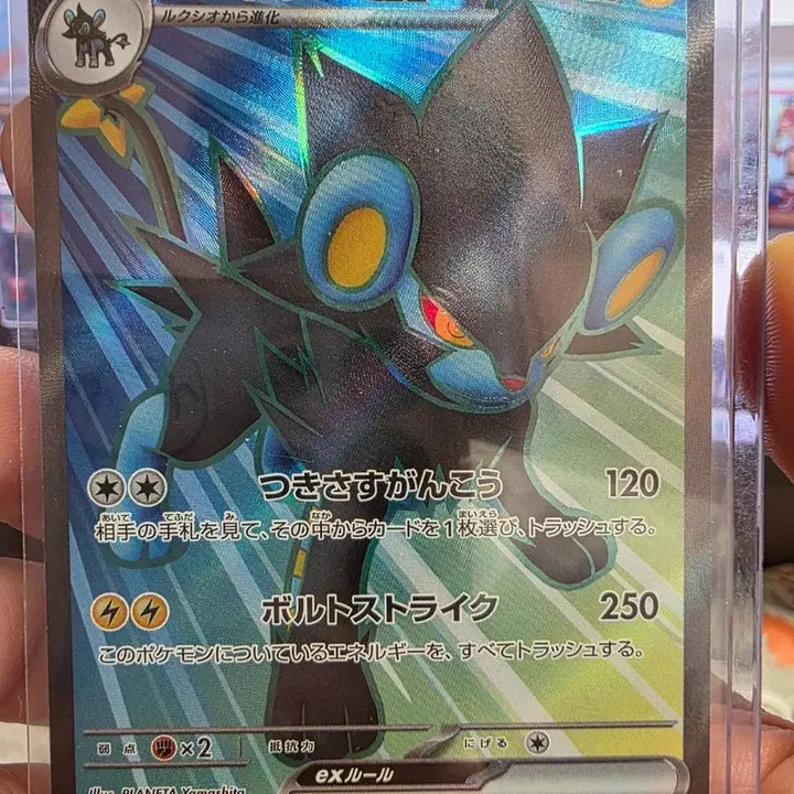 [SOLD OUT] 포켓몬 카드 렌트라 일판 EX SR 118/101